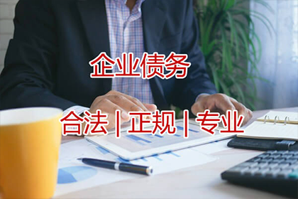 担保人能否对民间借贷债务提起诉讼？